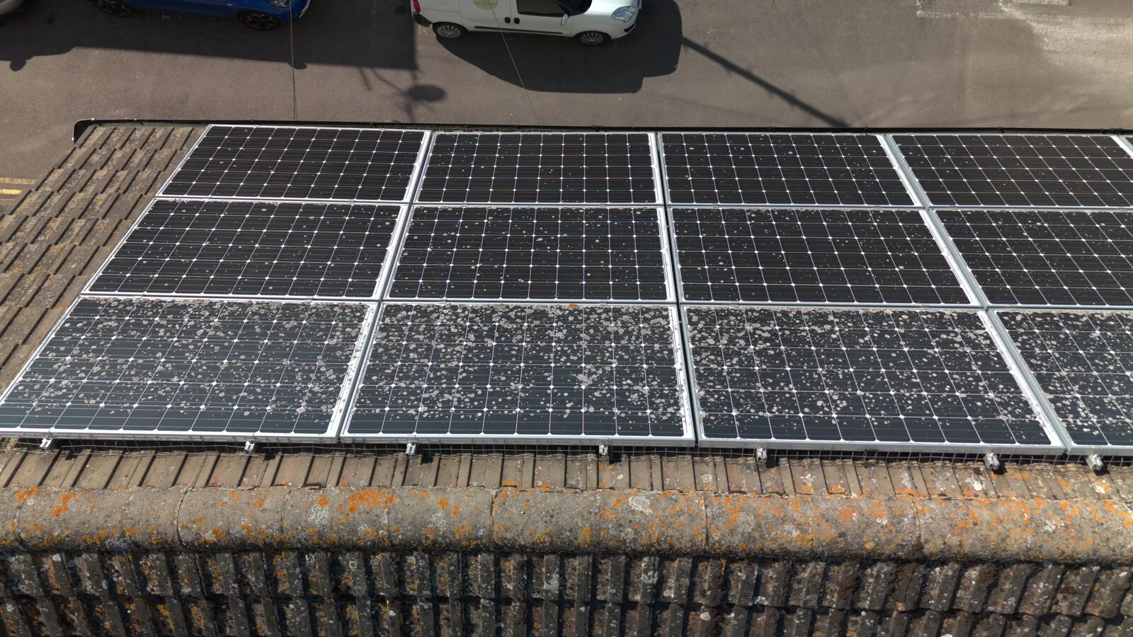 Real Skyline inspection showing bird droppings heavily soiling the lower rows of a residential solar array